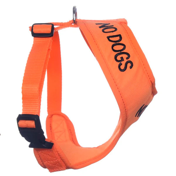 Friendly Dog Collars- NO DOGS- Adjustable Vest Harness