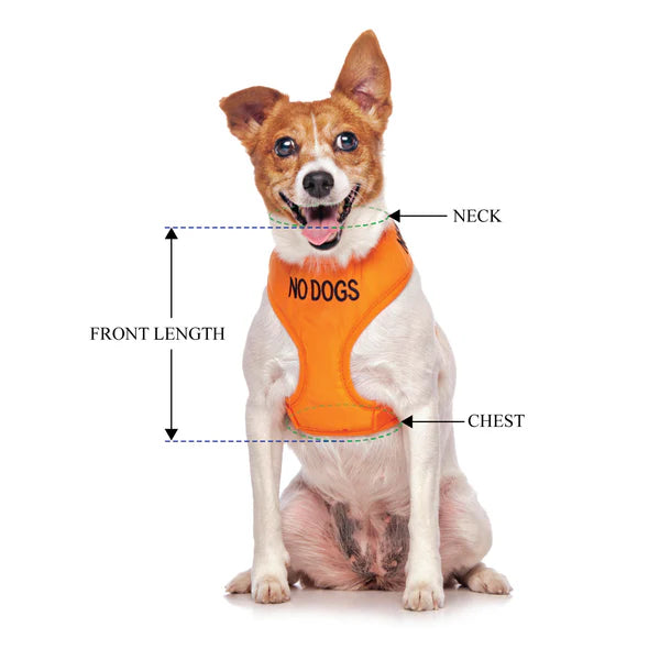 Friendly Dog Collars- NO DOGS- Adjustable Vest Harness