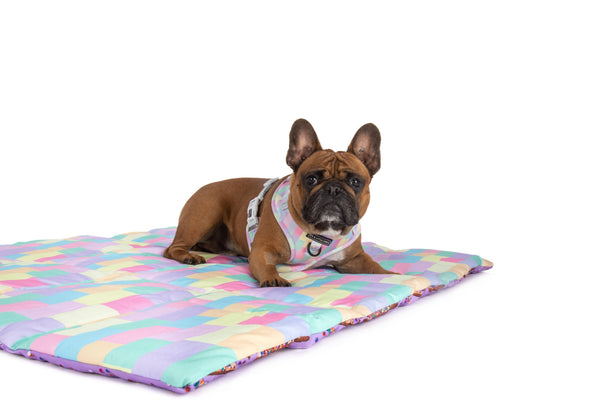 Big and Little Dogs-ON-THE-GO PET MAT: Purple Fairy Bread/Gelato