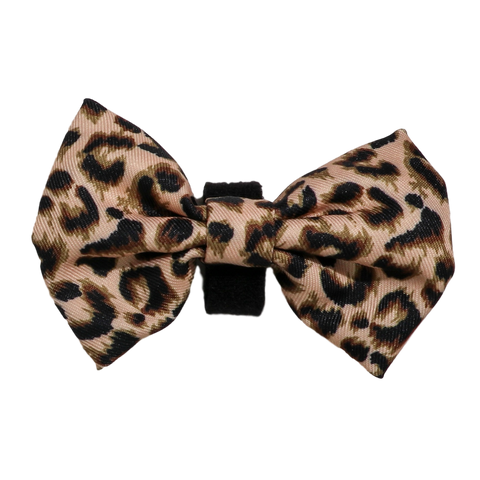 Big And Little Dogs-DOG BOW TIE | Luxurious Leopard