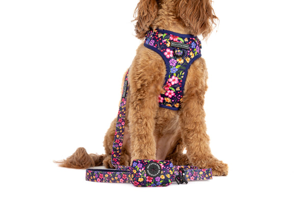 Big and Little Dogs- DOG POOP BAG HOLDER: Petal Paradise