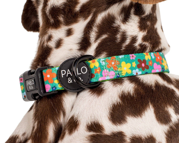 Pablo & Co-Funky Flowers: COLLAR