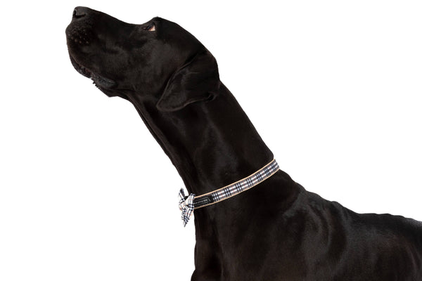 Big And Little Dogs-DOG COLLAR & BOW TIE: Nova Plaid