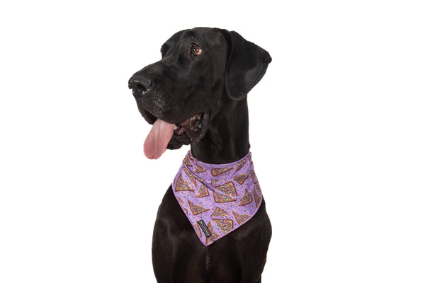 Big and Little Dogs-DOG BANDANA: Purple Fairy Bread