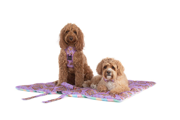 Big and Little Dogs-ON-THE-GO PET MAT: Purple Fairy Bread/Gelato