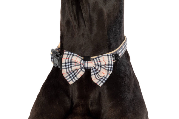 Big And Little Dogs-DOG COLLAR & BOW TIE: Nova Plaid