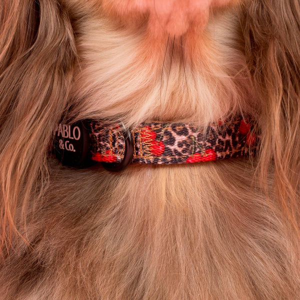 Pablo & Co-Leopard Cherries: Collar