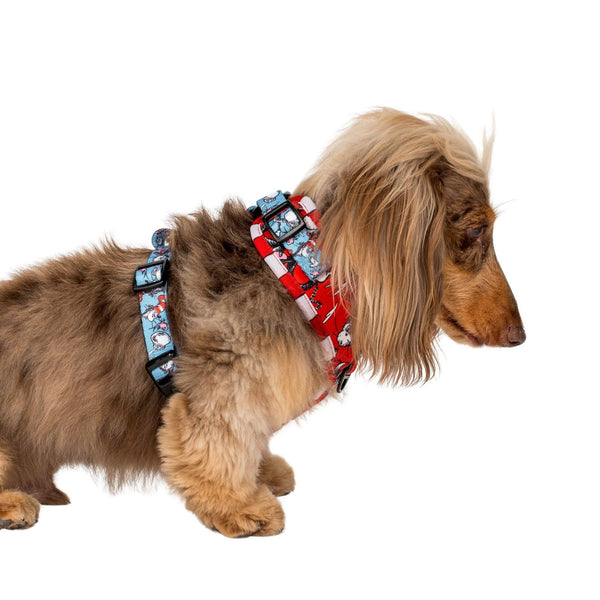 Pabl & Co- Dr. Seuss' The Cat in the Hat: Adjustable Dog Harness