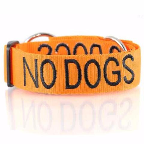 Friendly Dog Collars- NO DOGS- Semi Slip Collar L/XXL