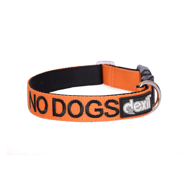 Friendly Dog Collars- NO DOGS- Clip Collar L/XL